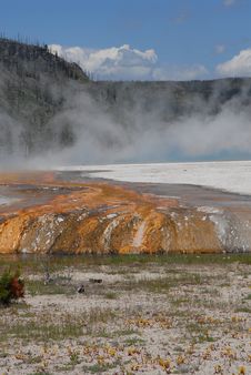 Hot Spring Geyser_Bacterial Formation Stock Images Hot Spring Geyser_Bacterial Formation Stock Images