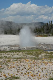 Sprouting Geyser Basin_Bacterial Formation Royalty Free Stock Images