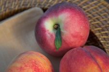 Summer Peaches Royalty Free Stock Photo Summer Peaches Royalty Free Stock Photo