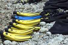Beached Flippers Royalty Free Stock Image Beached Flippers Royalty Free Stock Image