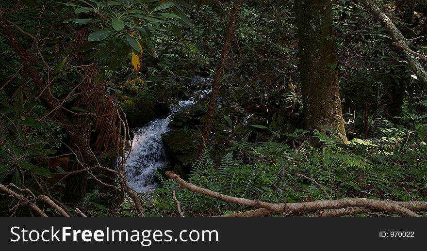 Hidden Waterfall