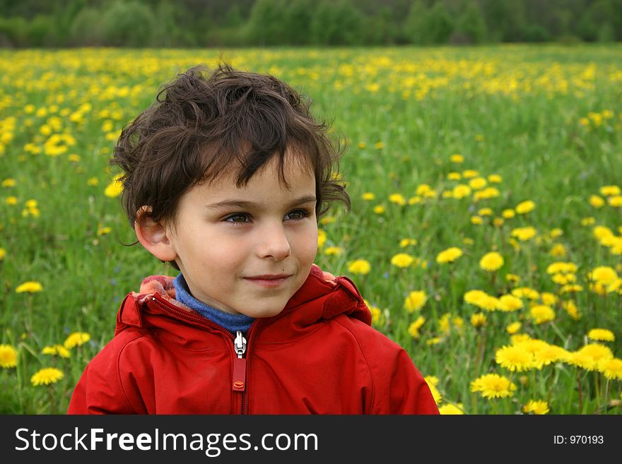 Spring day. Game on a meadow with dandelions. Spring day. Game on a meadow with dandelions.