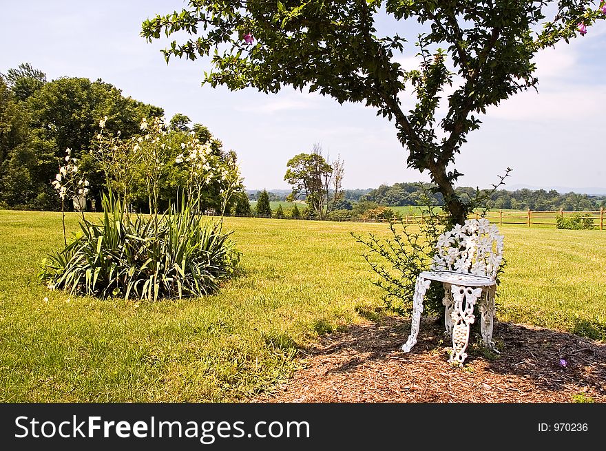 Lawn chair under tree