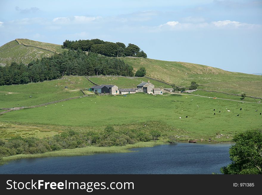 Beautiful Northumbrian Farm steading with a lough at the filed infront of it. Beautiful Northumbrian Farm steading with a lough at the filed infront of it