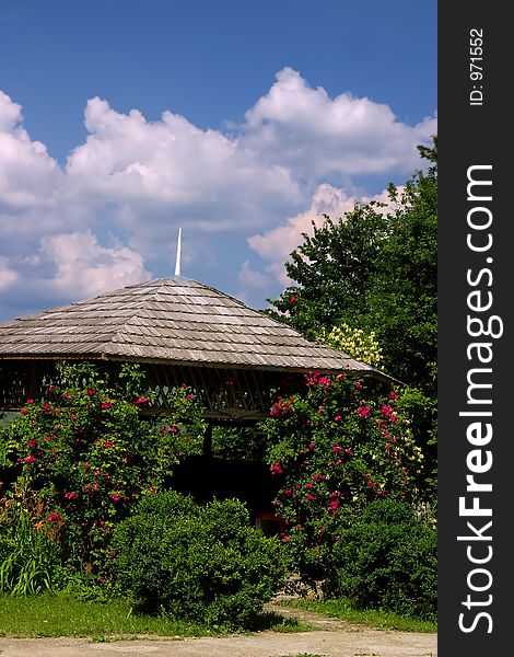 Rose arbor in sumer sun