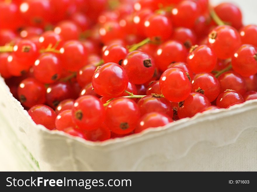Close shot of fresh red currants