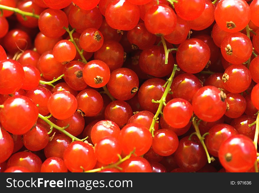 Nice fresh fruit/berry background. Nice fresh fruit/berry background