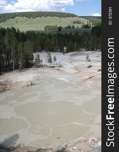 White Rock formation at Yellowstone Natl Park with forests in the background