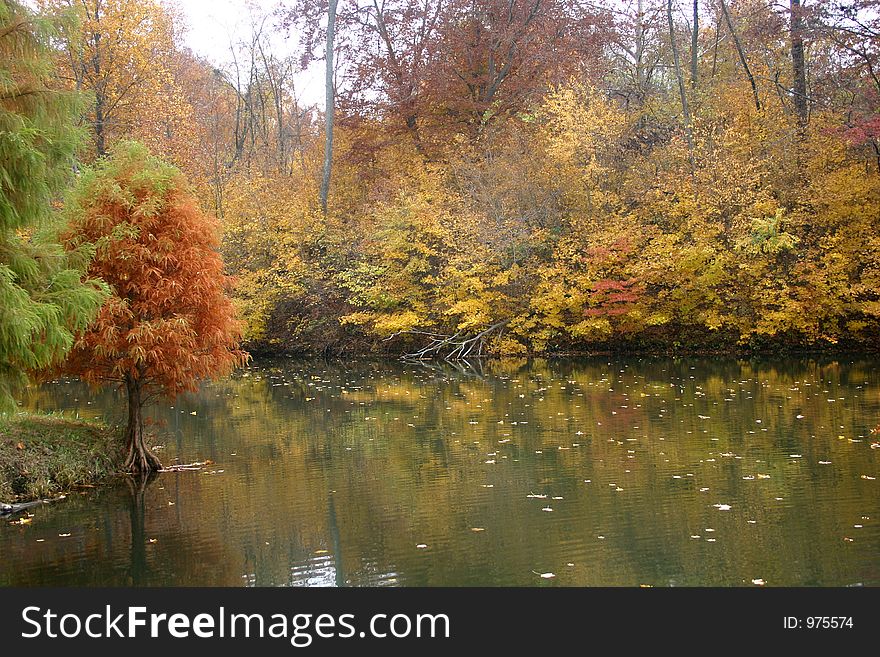 Fall colors around a small lake