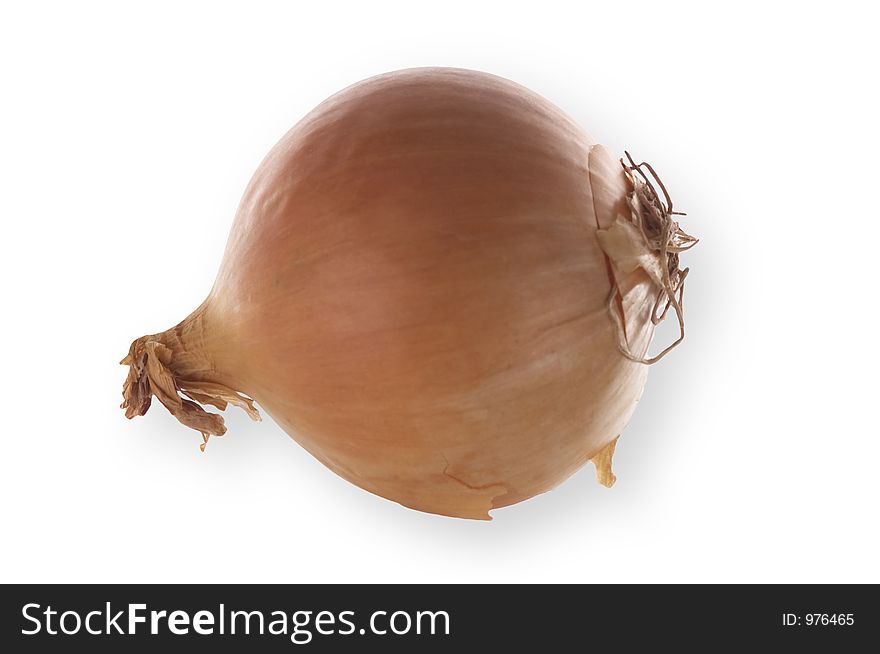 Isolated onion, clipping path included