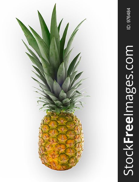 Isolated Pineapple