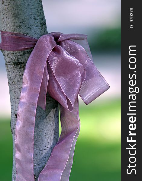 Pink tape fastened on a tree