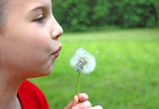 Girl Blowing Dandelion Stock Photo Girl Blowing Dandelion Stock Photo