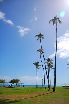 Hawaii Waikiki Royalty Free Stock Photography