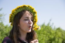 Girl Blowing A Dandelion Stock Photo