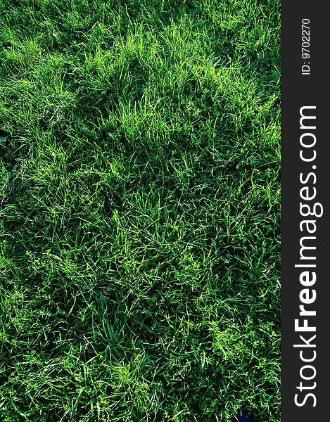 Abstract beautiful green grass background. Abstract beautiful green grass background