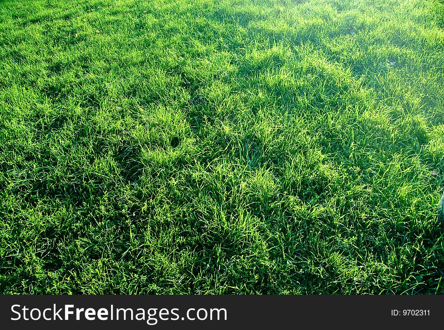 Abstract beautiful green grass background. Abstract beautiful green grass background