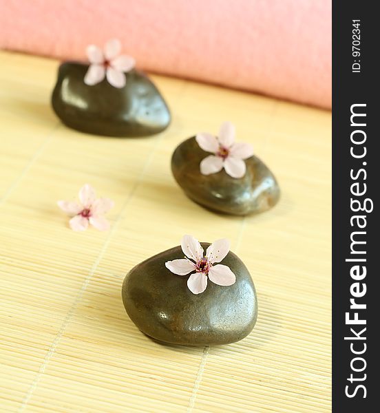 Spa composition of stones and pink flower, closeup