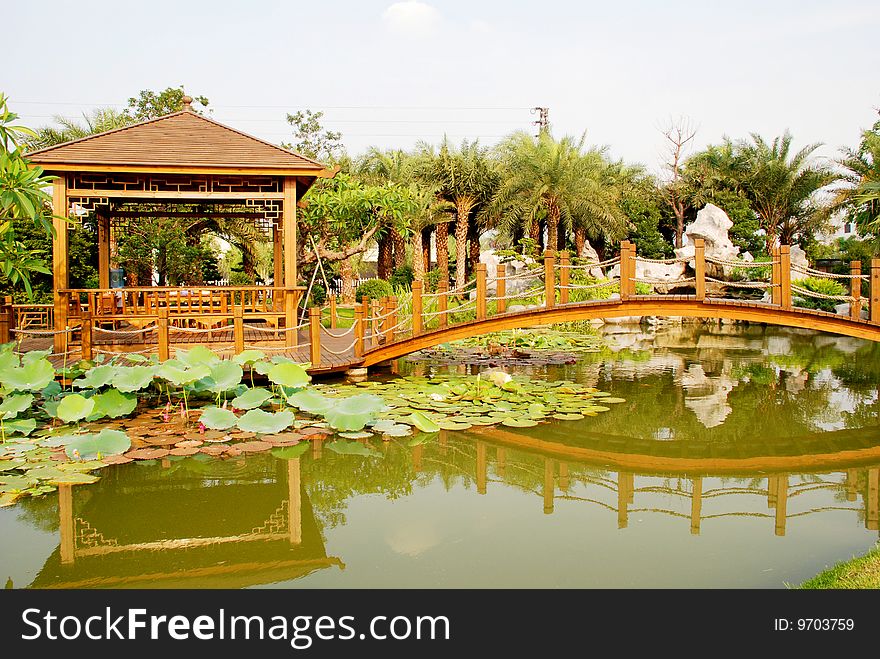 The Chinese wood bridge and pavilin in a villalotus pond garden. The Chinese wood bridge and pavilin in a villalotus pond garden.