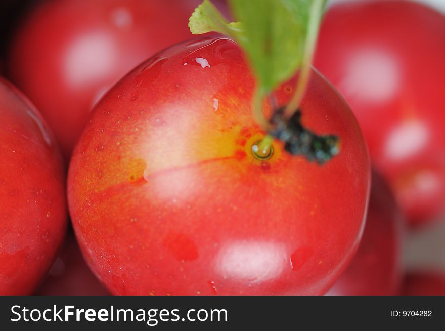 Red cherry-plum with green leaf. Narrow depth of field. Red cherry-plum with green leaf. Narrow depth of field.