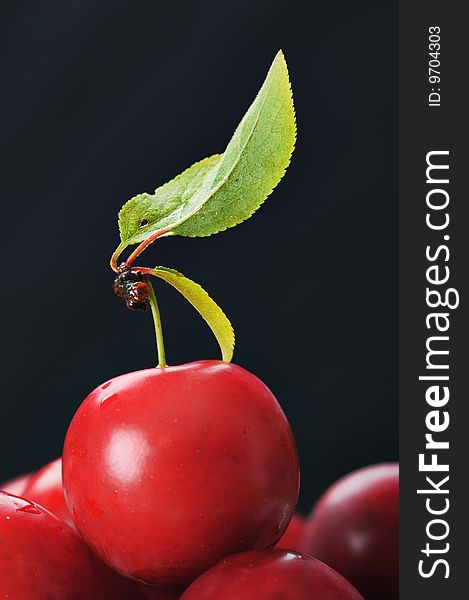 Red cherry-plum with green leaf on the black background. Narrow depth of field. Red cherry-plum with green leaf on the black background. Narrow depth of field.