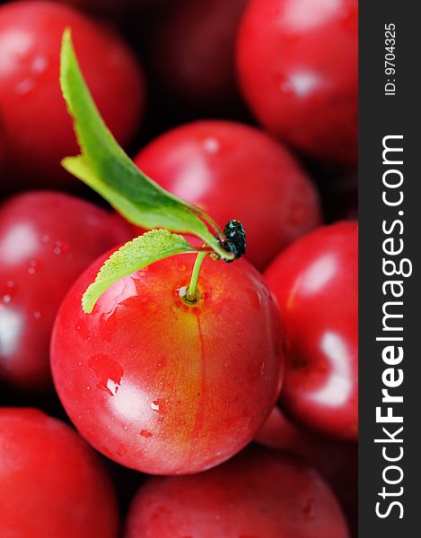 Red cherry-plum with green leaf. Narrow depth of field. Red cherry-plum with green leaf. Narrow depth of field.