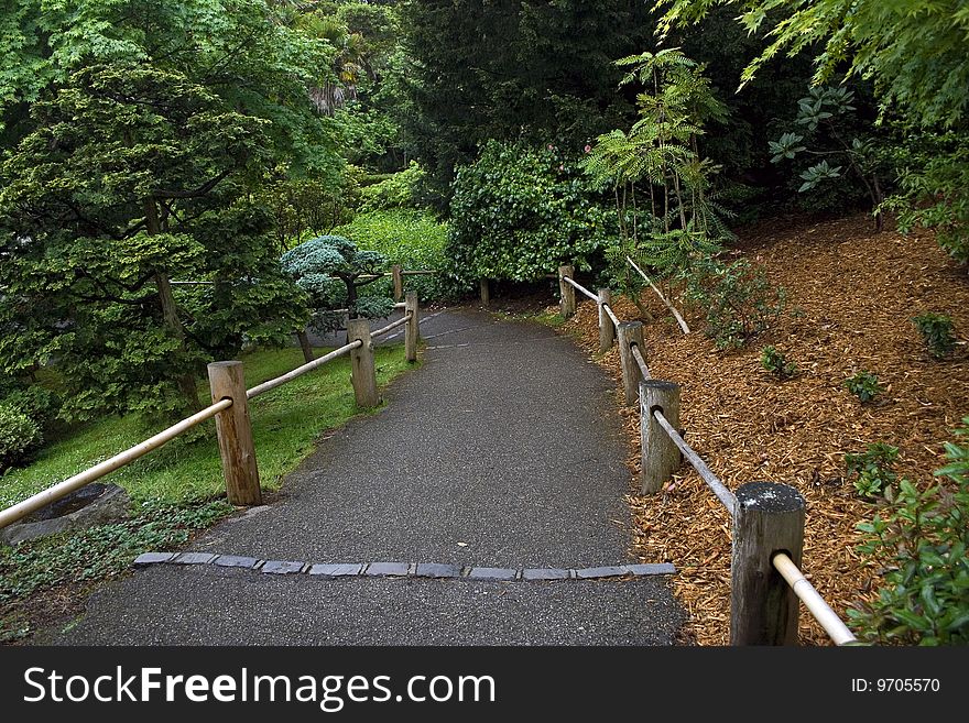 Road with a wooden fence in a tranquil garden