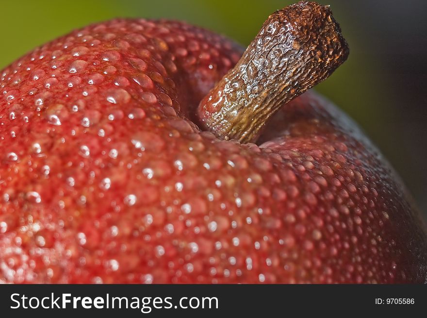 Macro close up shot of a red pear