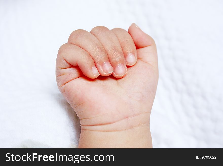 Hand of new born baby on a white blanket. Hand of new born baby on a white blanket