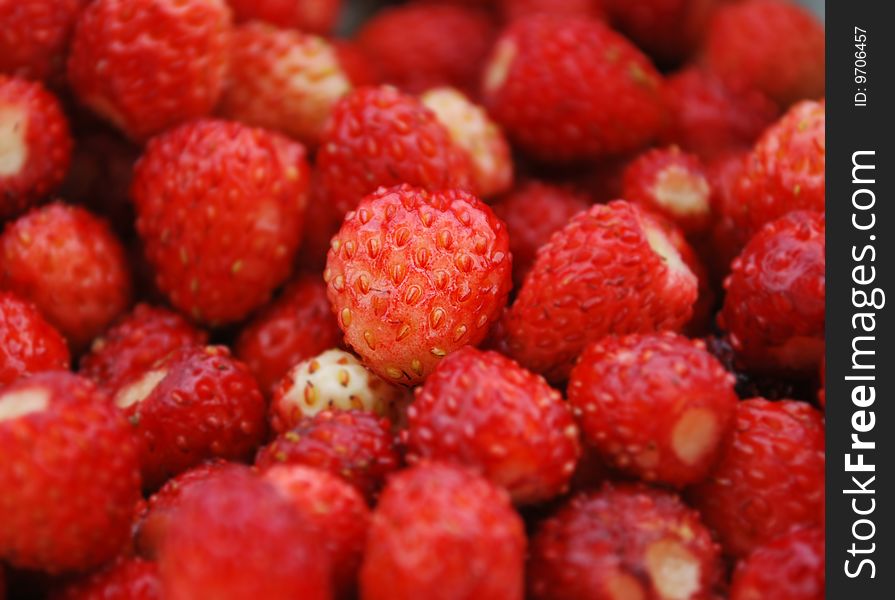 Close up of a group of fresh, succulent strawberries