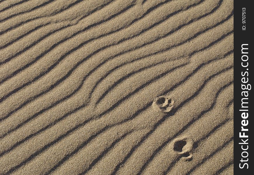 Texture sand beach in summer. Texture sand beach in summer