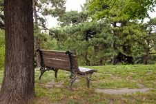 Wooden Bench In Park Royalty Free Stock Images Wooden Bench In Park Royalty Free Stock Images