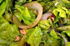 Salad With Onion And Walnuts Royalty Free Stock Images Salad With Onion And Walnuts Royalty Free Stock Images
