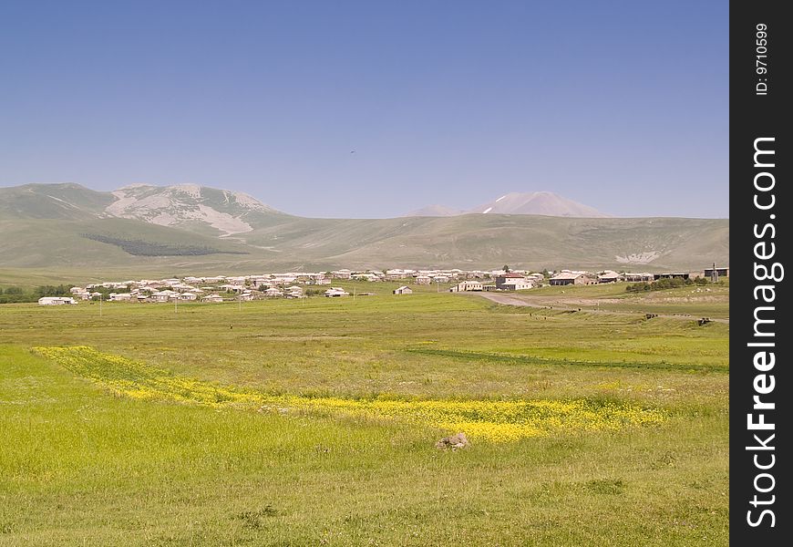 In front yellow flowers on the meadow in background village. Georgia. In front yellow flowers on the meadow in background village. Georgia