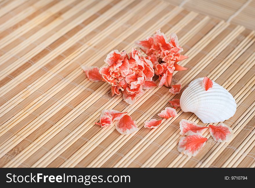 On the vacation: seashell and beautiful flowers. On the vacation: seashell and beautiful flowers