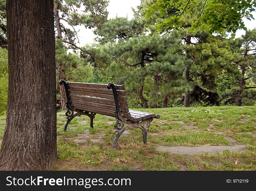 Wooden bench on hill in park next to tree. Wooden bench on hill in park next to tree