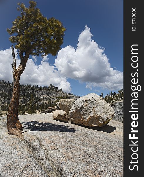 View of Yosemite National Park, California, USA. View of Yosemite National Park, California, USA.