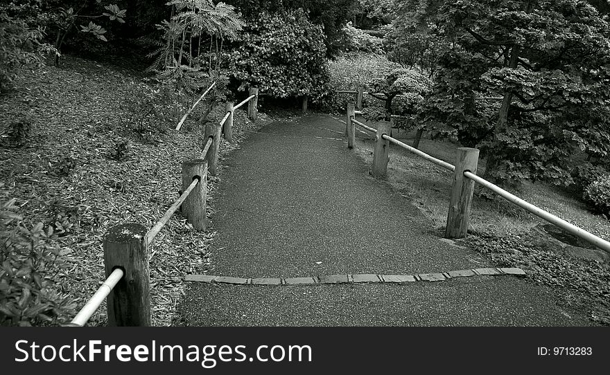 Road with a wooden fence in a tranquil garden in black and white