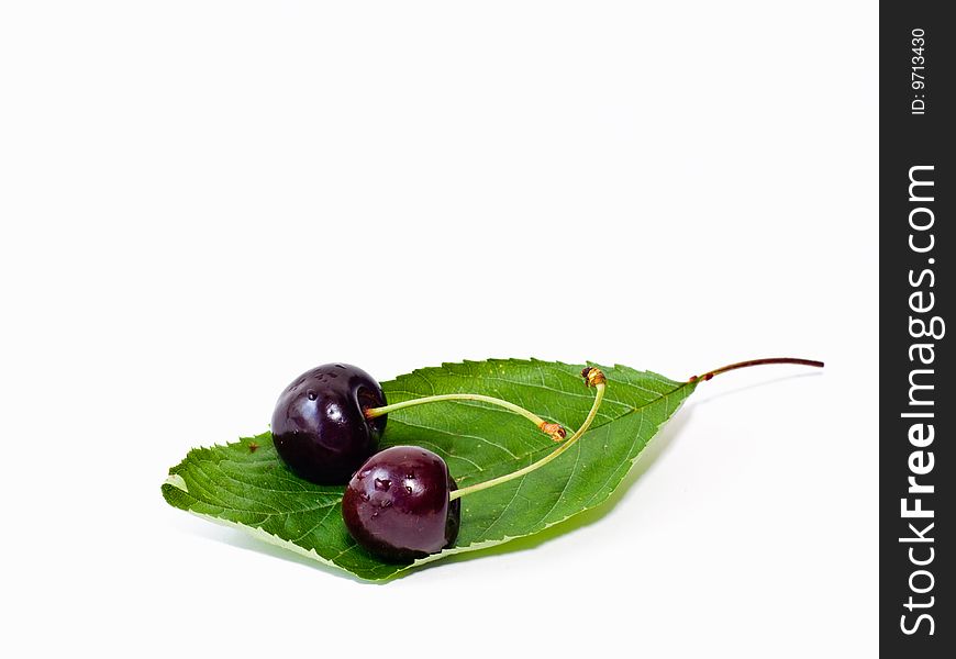 Two cherries on a leaf isolated on white.