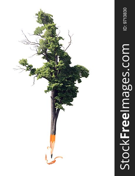 Pencil Tree