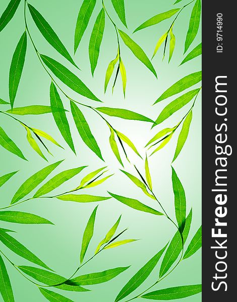 Abstract floral background: green plants over gradient background