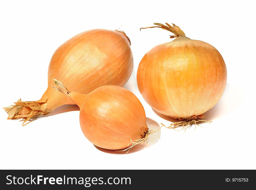 Onions On White Background.