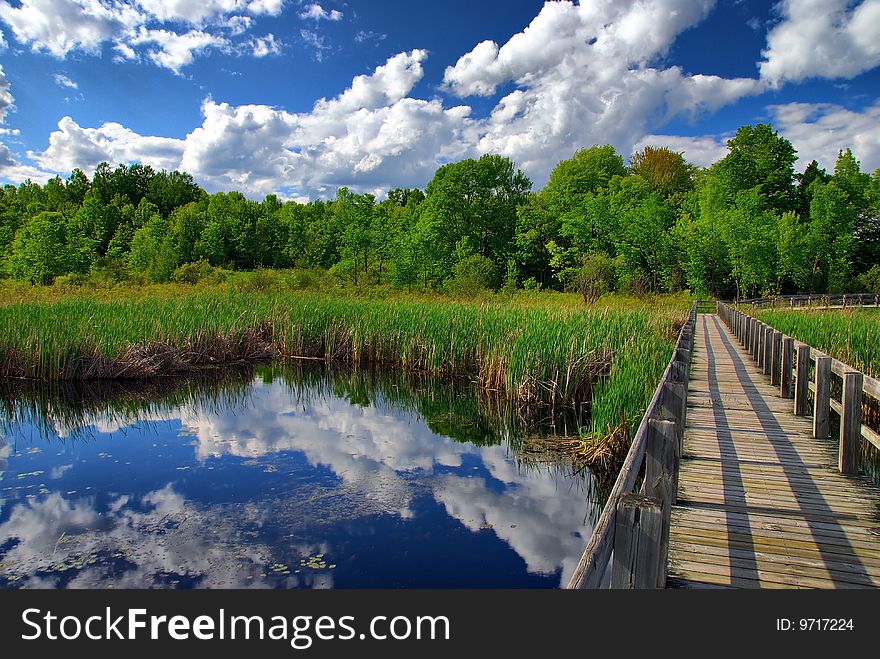 A boardwalk goes past a still reflective pond.  The afternoon sun lights up the passing clouds. A boardwalk goes past a still reflective pond.  The afternoon sun lights up the passing clouds.