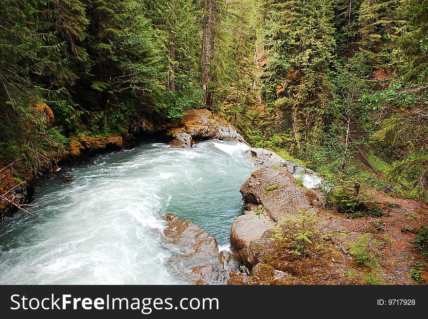 Pacific northwest waterfall flowing through forest. Pacific northwest waterfall flowing through forest