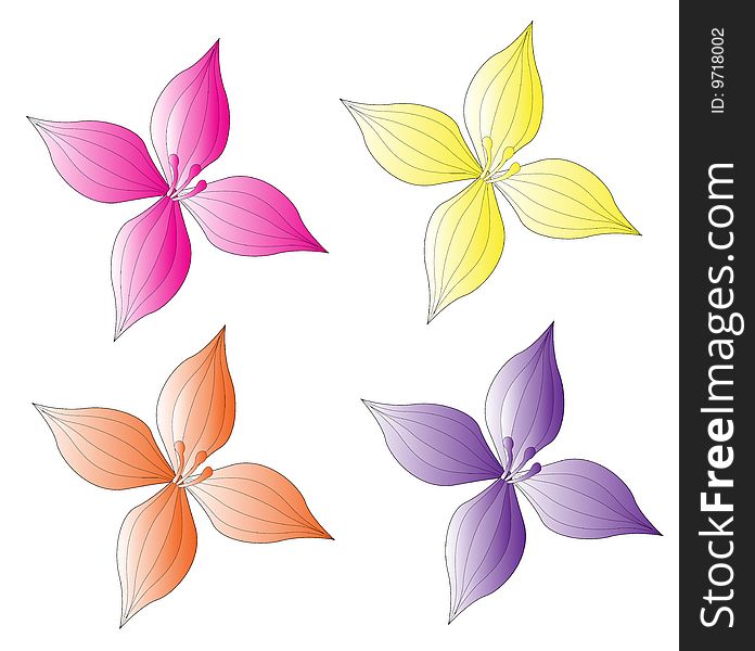 Four color flower on the white background