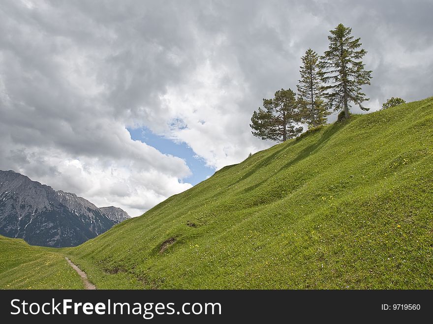 Pasture on mountain kranzberg near mittenwald, bavarian alps, germany. Pasture on mountain kranzberg near mittenwald, bavarian alps, germany