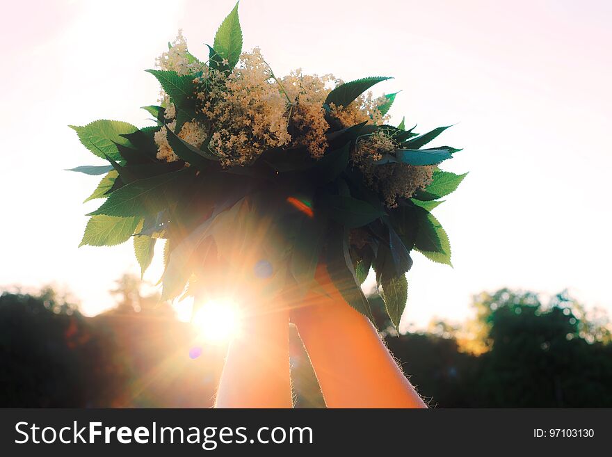 Romantic bunch of white field flowers in girl hands