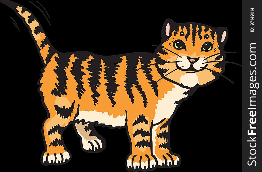 Tiger, Mammal, Cat Like Mammal, Vertebrate