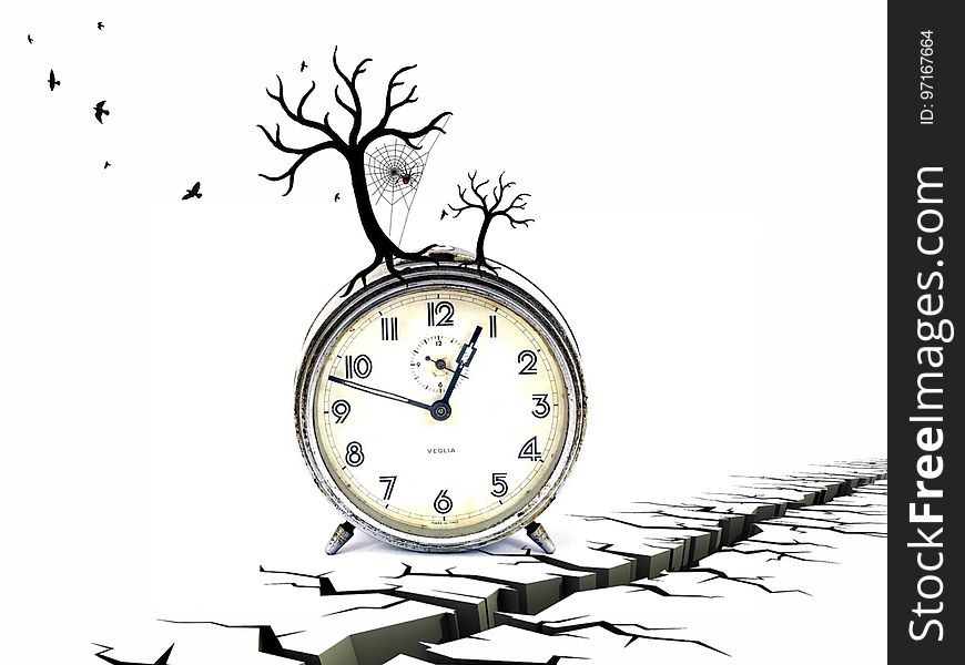 Clock, Branch, Home Accessories, Font