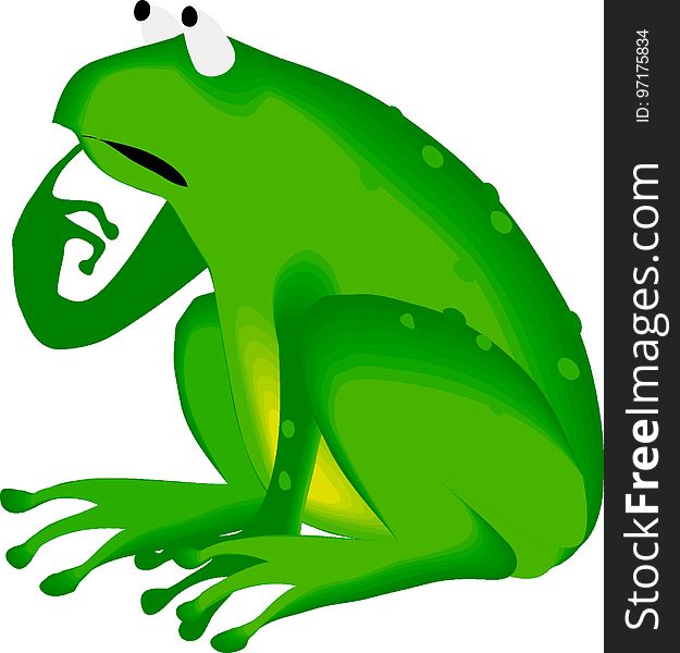 Green, Amphibian, Tree Frog, Toad